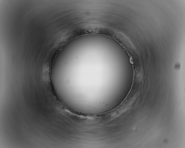 X0000103231060200808281425