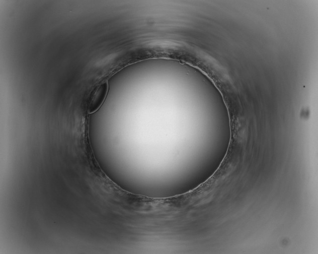 X0000103231061200808281425