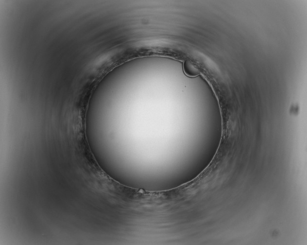 X0000103231062200808281425
