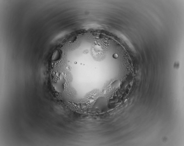 X0000103231063200808281425