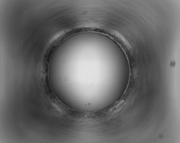 X0000103231064200808281425