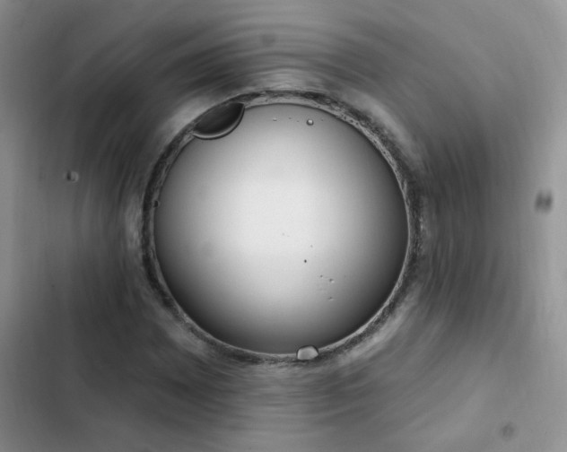 X0000103231065200808281425
