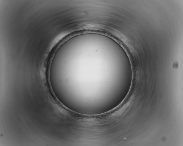 X0000103231066200808281425