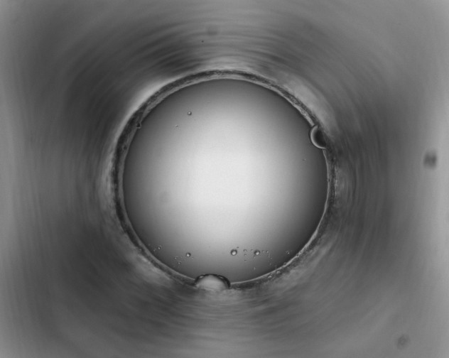 X0000103231068200808281425
