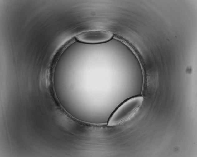 X0000103231069200808281425