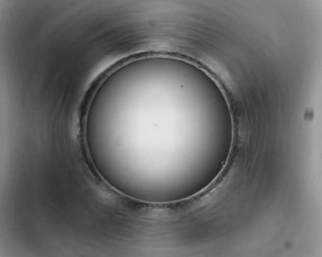 X0000103231070200808281425