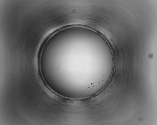 X0000103231072200808281425