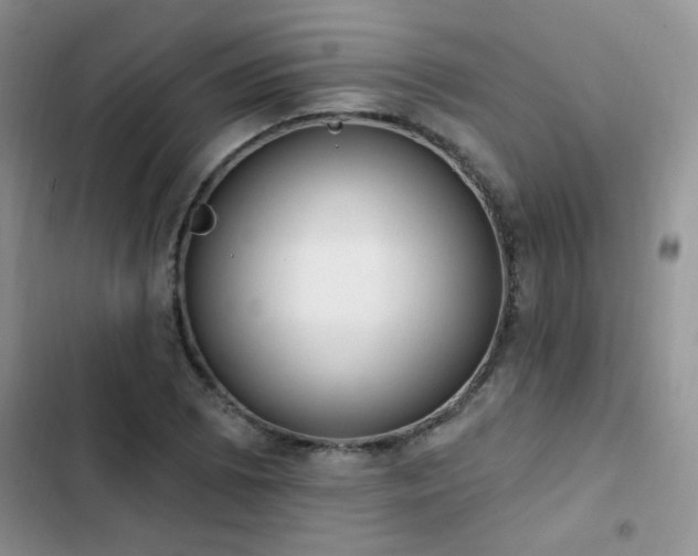 X0000103231073200808281425