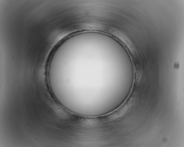 X0000103231074200808281425