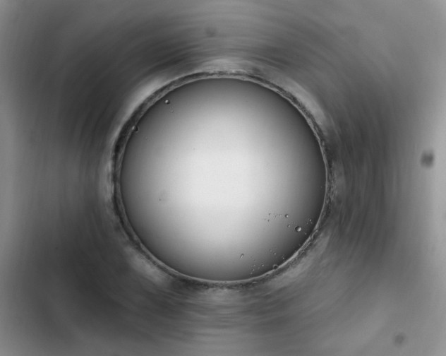 X0000103231075200808281425