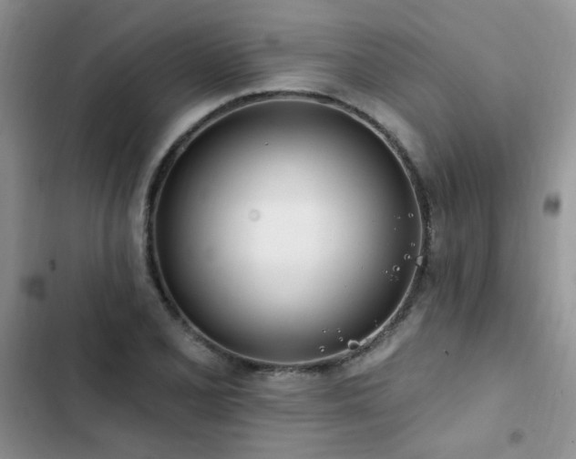 X0000103231077200808281425