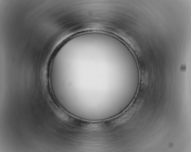 X0000103231078200808281425
