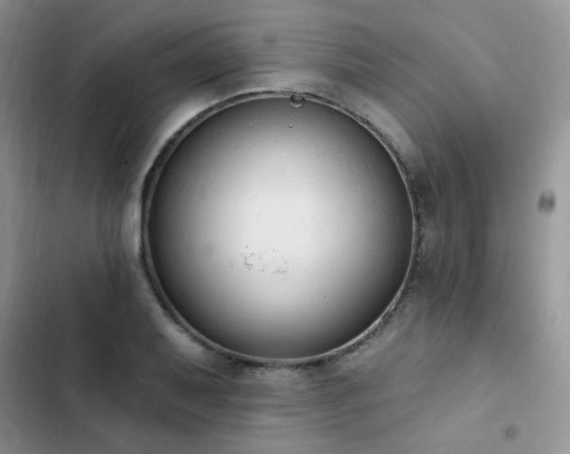 X0000103231079200808281425