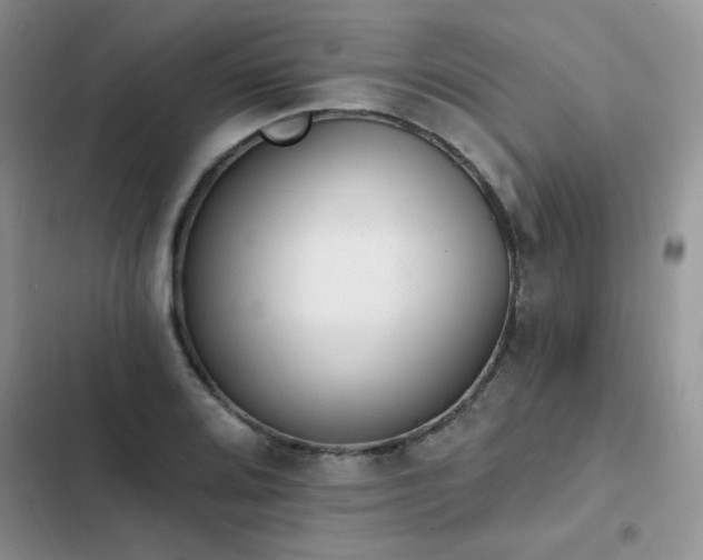 X0000103231080200808281425