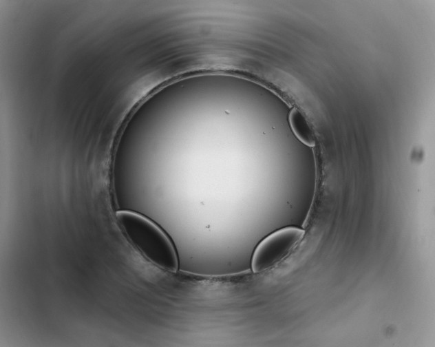 X0000103231081200808281425
