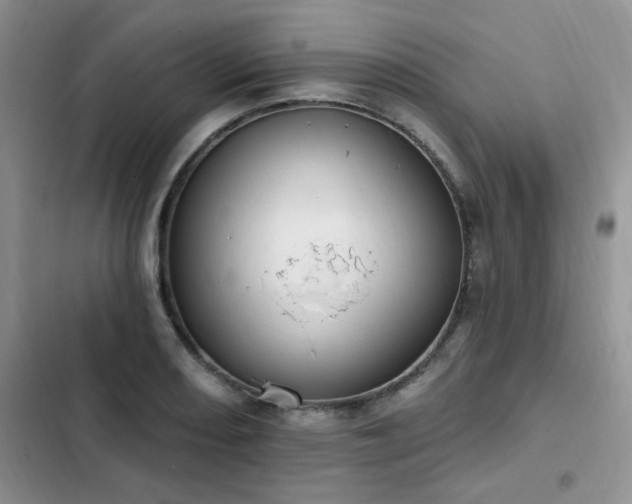 X0000103231082200808281425