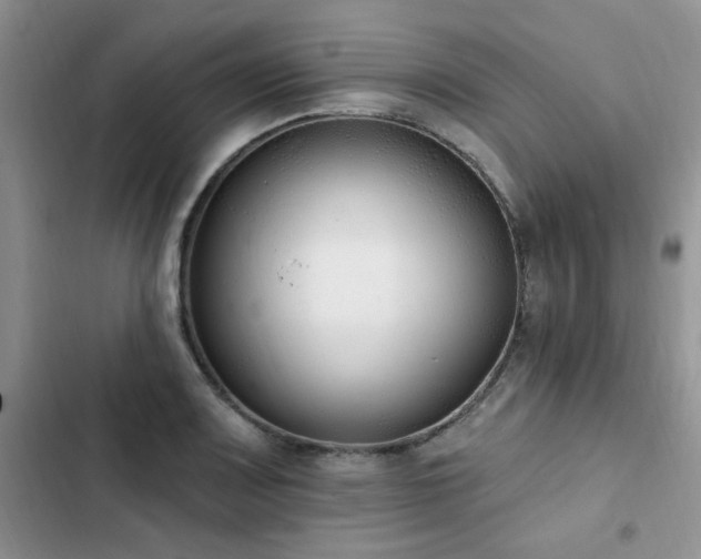 X0000103231083200808281425