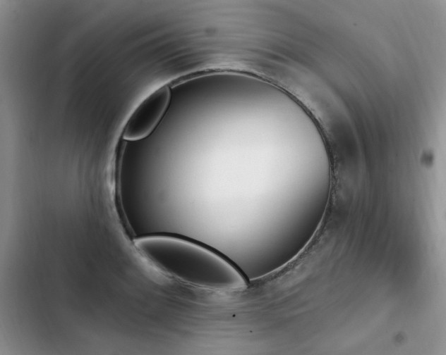 X0000103231084200808281425