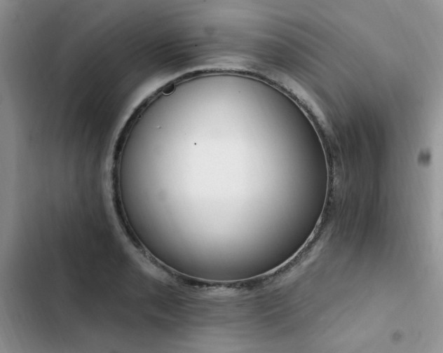 X0000103231085200808281425