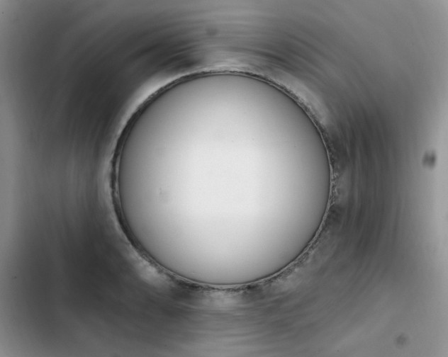 X0000103231086200808281425