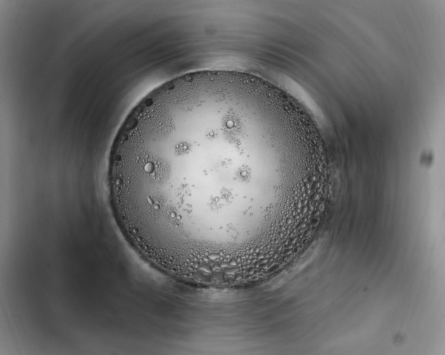 X0000103231087200808281425