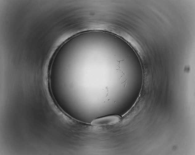 X0000103231088200808281425