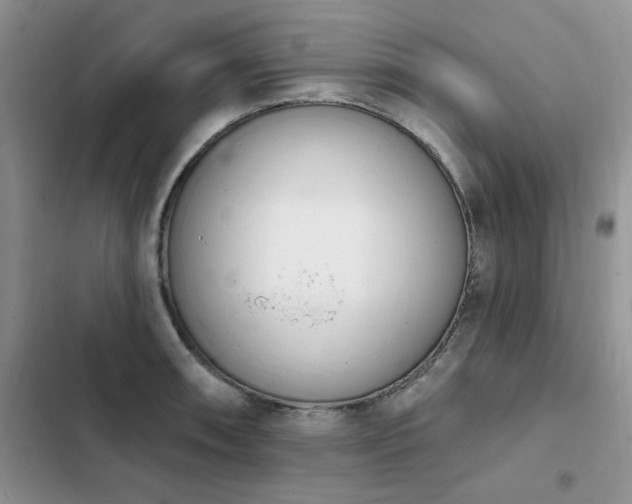X0000103231090200808281425