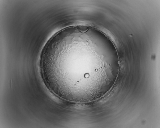 X0000103231091200808281425