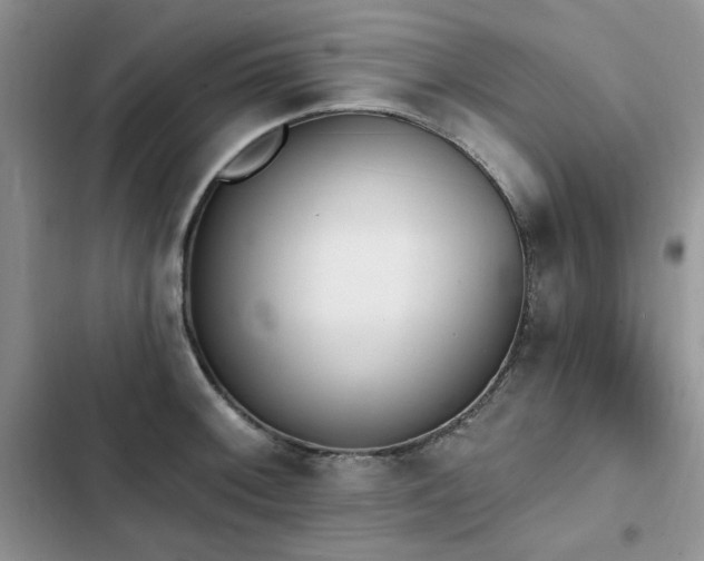 X0000103231092200808281425