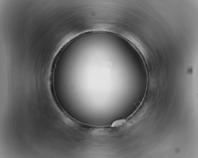 X0000103231093200808281425
