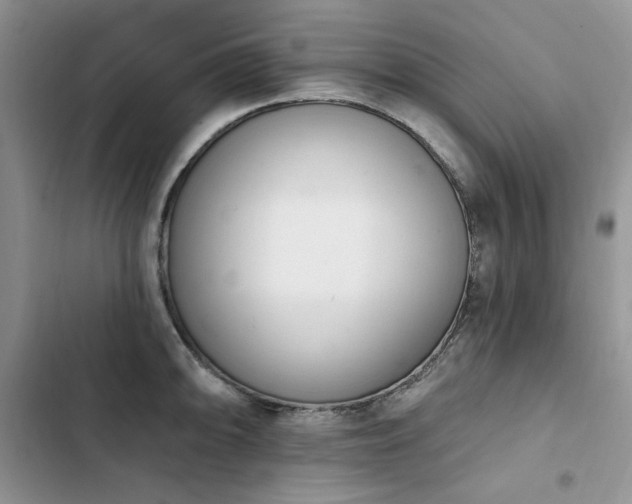 X0000103231094200808281425
