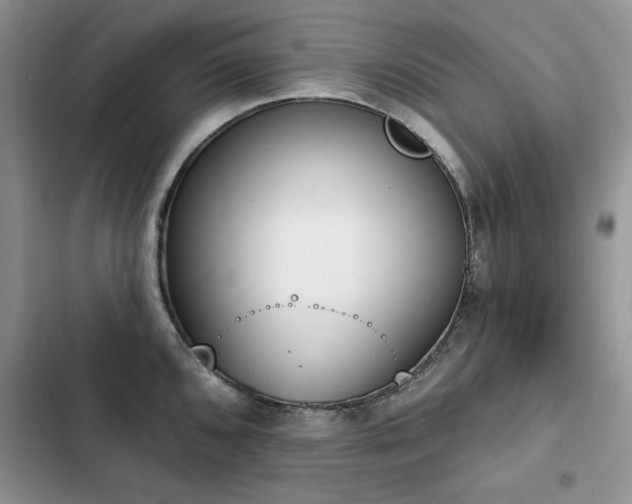 X0000103231096200808281425