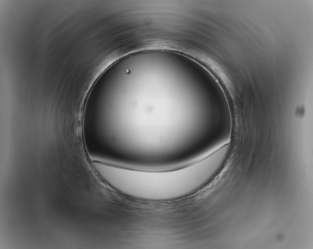 X0000103231097200808281425