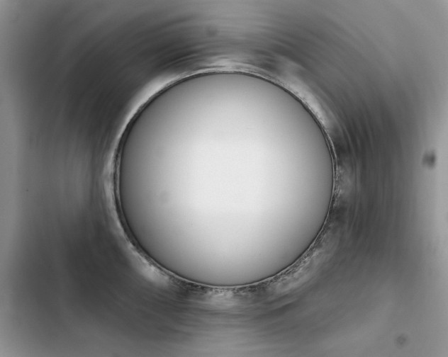 X0000103231098200808281425