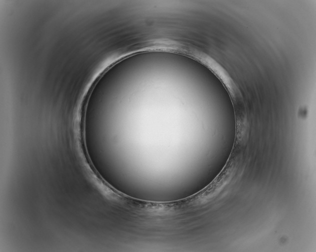 X0000103231099200808281425