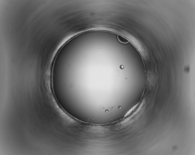 X0000103231100200808281425