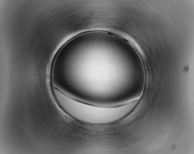 X0000103231101200808281425