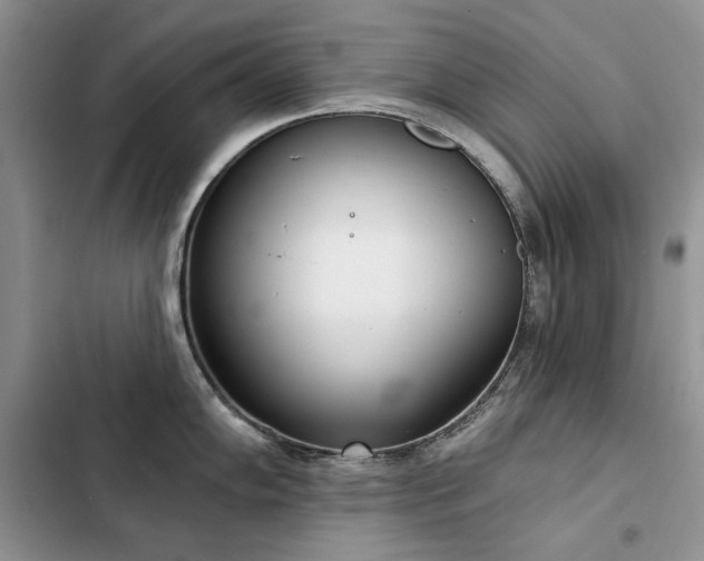 X0000103231102200808281425