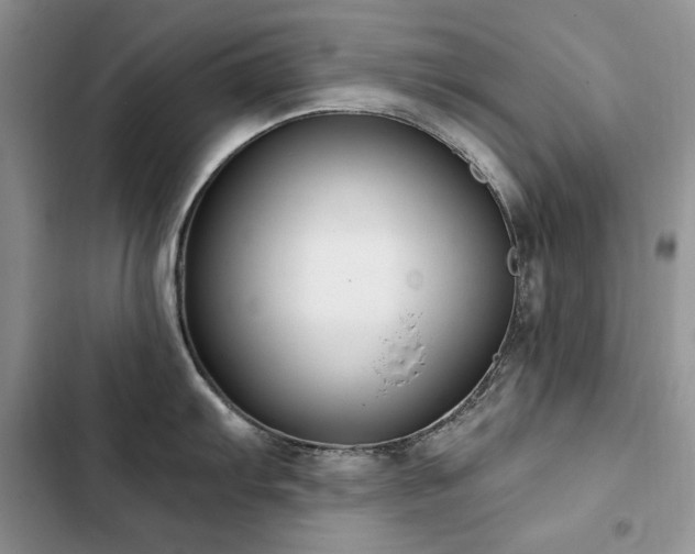 X0000103231103200808281425
