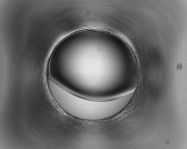 X0000103231104200808281425