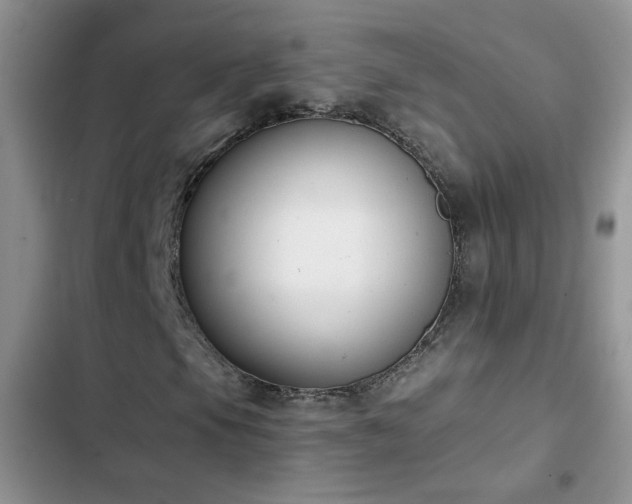 X0000103231105200808281424