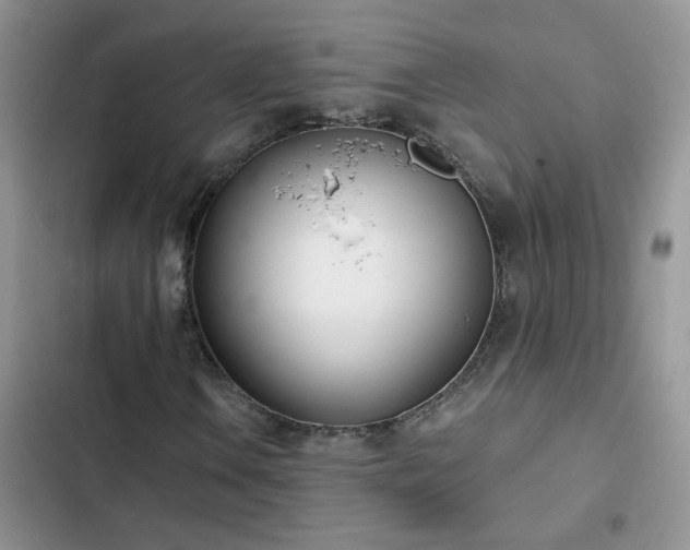 X0000103231106200808281424