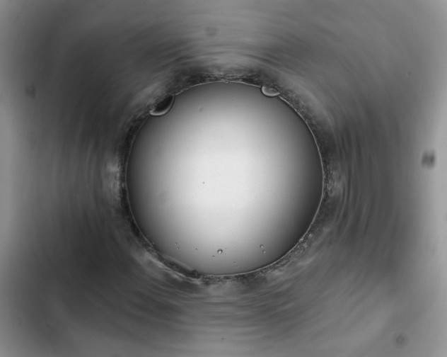 X0000103231108200808281424