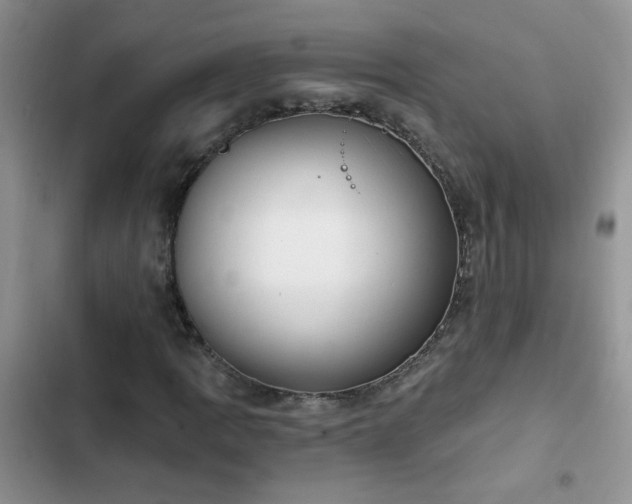 X0000103231109200808281424