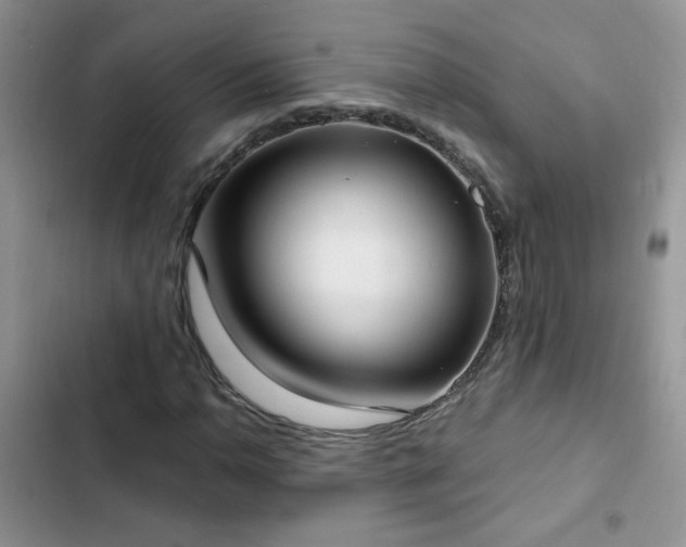X0000103231110200808281424
