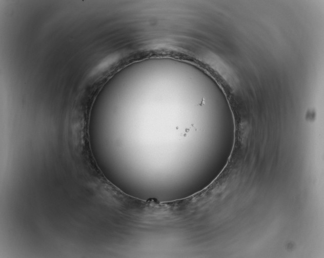 X0000103231111200808281424