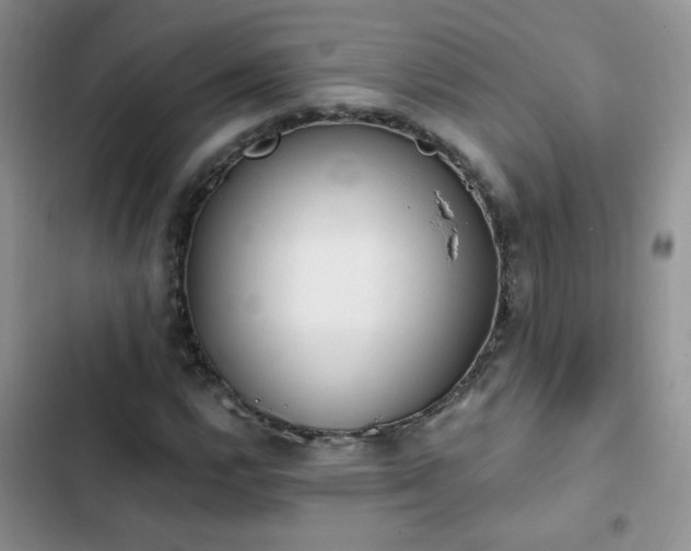 X0000103231112200808281424