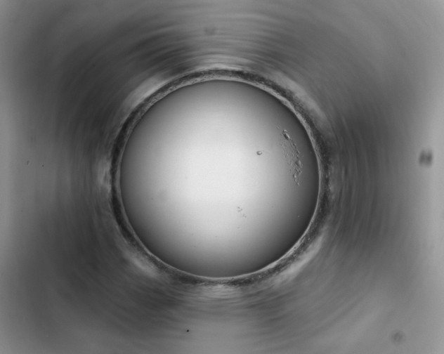 X0000103231113200808281424
