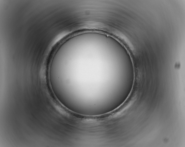 X0000103231114200808281424