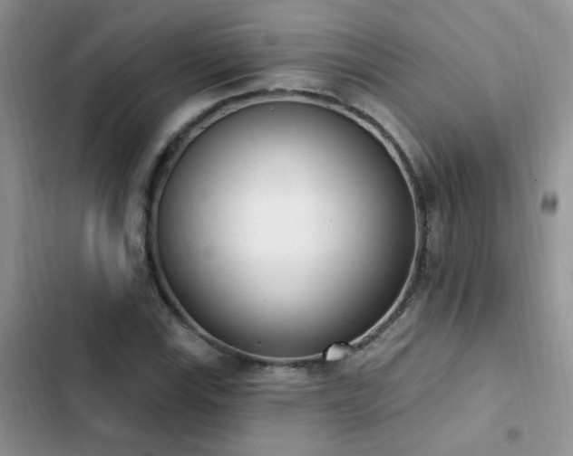 X0000103231115200808281424
